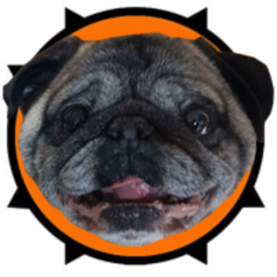 Wendell The Pug Thumbnail